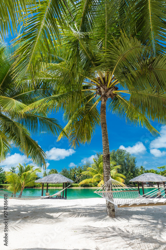 Palm trees and hammock on a tropical beach, islands of Vanuatu © Martin Valigursky