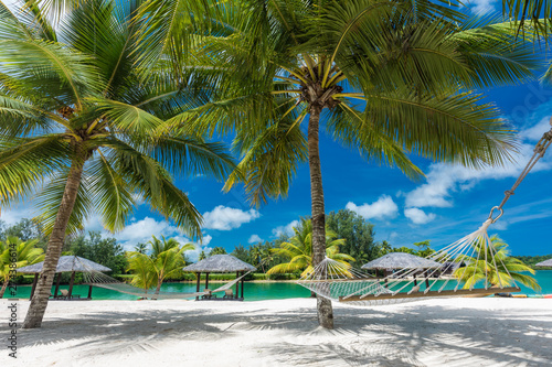 Palm trees and hammock on a tropical beach, islands of Vanuatu