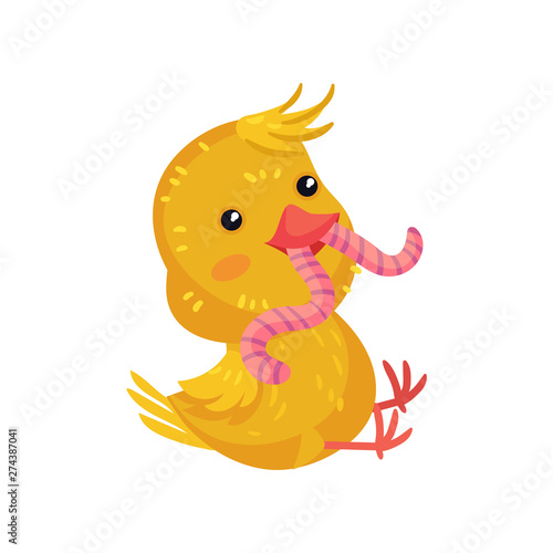 Little yellow cartoon chicken eats a worm. Vector illustration on white background.