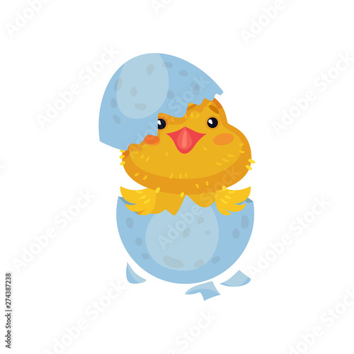 Little yellow cartoon chicken hatched from an egg. Vector illustration on white background.