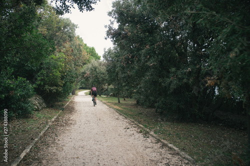 Searching quiet roads, pine trees and olive orchards, Istria