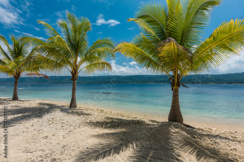 Beach with palm trees, tropical Efate island, Vanuatu © Martin Valigursky