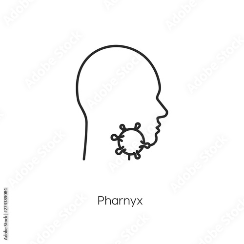 pharynx icon vector symbol