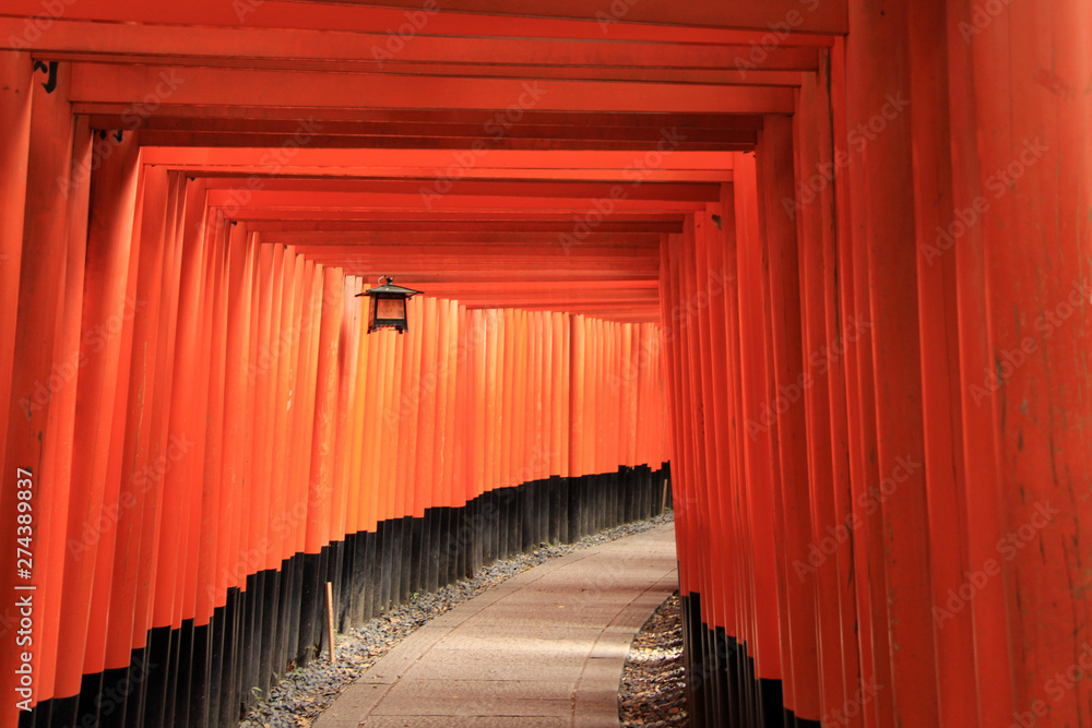 Fototapeta premium Fushimi Inari Shrine in Kyoto Japan