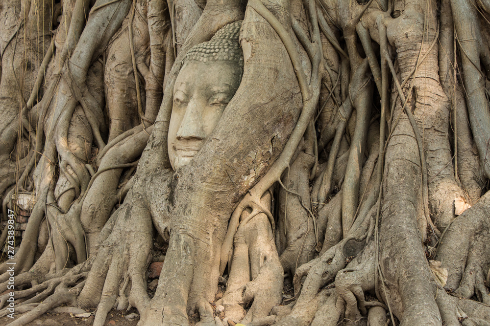Buddha Head in Tree roots in Wat Mahathat Ayutthaya