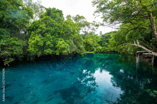 Matevulu Blue Hole  Espiritu Santa Island  Vanuatu  tourist destination