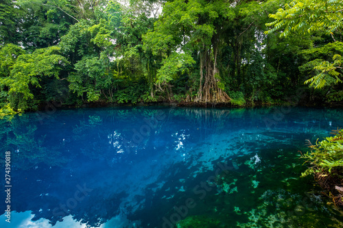 Matevulu Blue Hole, Espiritu Santa Island, Vanuatu, tourist destination