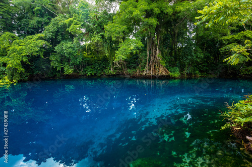 Matevulu Blue Hole  Espiritu Santa Island  Vanuatu  tourist destination