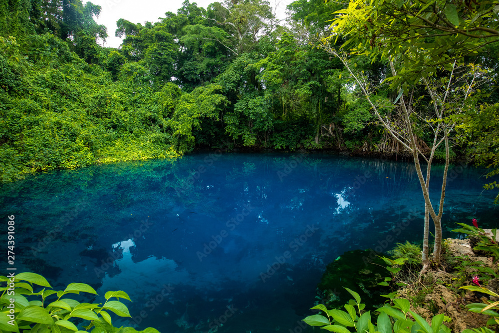 Matevulu Blue Hole, Espiritu Santa Island, Vanuatu, tourist destination Matevulu Blue Hole, Espiritu Santa Island, Vanuatu, tourist destination