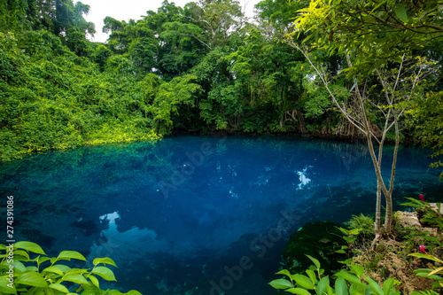 Matevulu Blue Hole  Espiritu Santa Island  Vanuatu  tourist destination