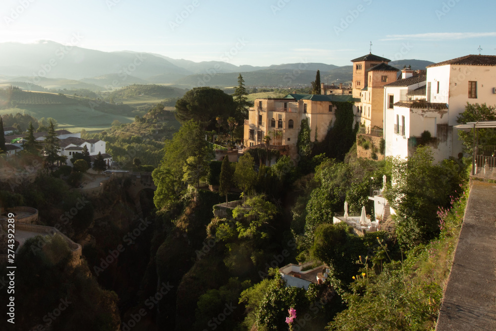 View of the houses over the gorge (canyon), cliffs, shelter plants, Ronda, Andalusia, Spain