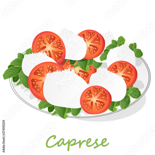 Vector illustration of delicious caprese salad with ripe tomatoes and mozzarella cheese with fresh basil leaves. Italian food isolated.