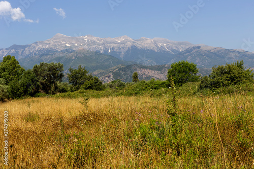 Mountain meadow in the highlands (Greece, Peloponnese)