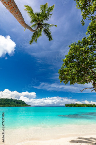 Cuadro en lienzo Port Orly sandy beach with palm trees, Espiritu Santo Island, Vanuatu