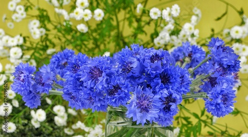 Bouquet of blue cornflowers on a background of flowering plants  still life