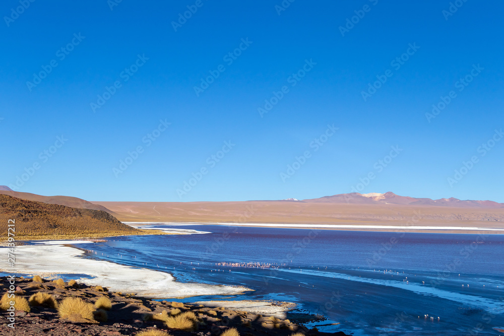 Laguna Colorada, shallow salt lake in the southwest of the altiplano of Bolivia