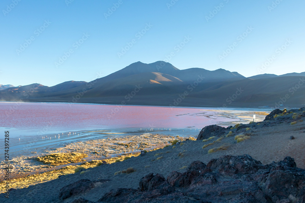 Laguna Colorada, shallow salt lake in the southwest of the altiplano of Bolivia