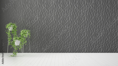 Fototapeta Naklejka Na Ścianę i Meble -  Empty room interior design, gray panel, wooden white floor and potted plant, modern architecture background with copy space, template mockup idea