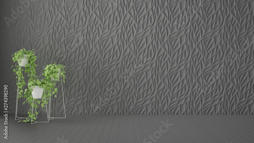 Fototapeta Naklejka Na Ścianę i Meble -  Empty room interior design, gray decorated molded panel, wooden dark floor and potted plant, modern architecture background with copy space, template mockup idea