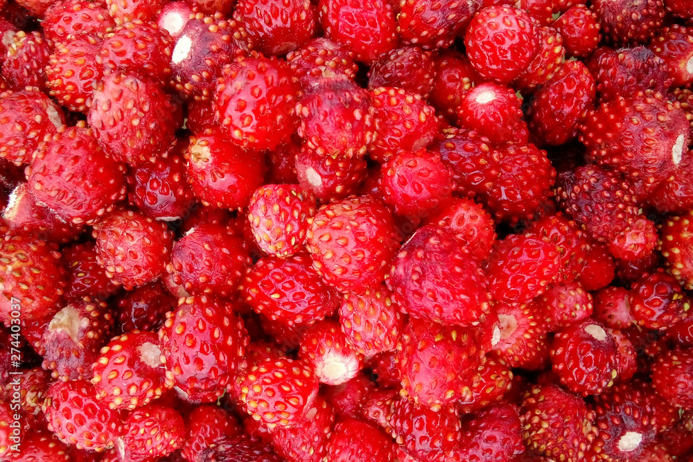 Background made of freshly picked red wild strawberries, close up view Background made of freshly picked red wild strawberries, close up view