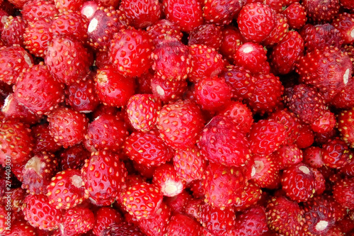 Background made of freshly picked red wild strawberries, close up view