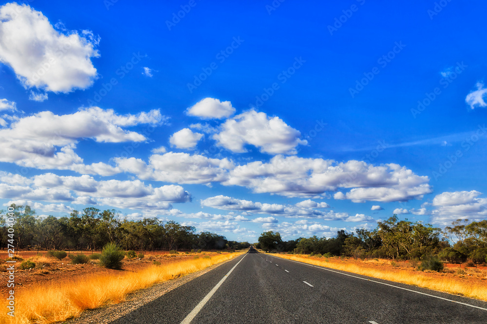 Obraz premium Rd NSW outback plains