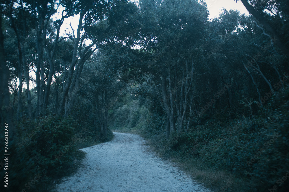 Fototapeta premium Return from a bike ride, trying to catch the sun setting down