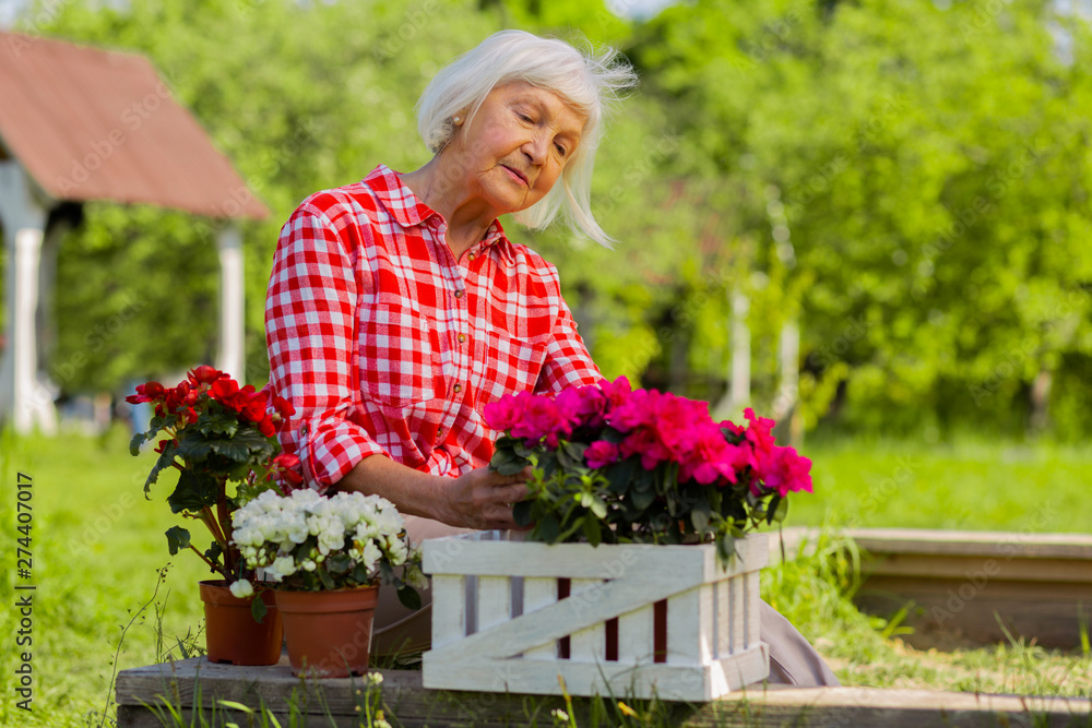 Beautiful retired woman living in cottage house looking at her flowers - obrazy, fototapety, plakaty 
