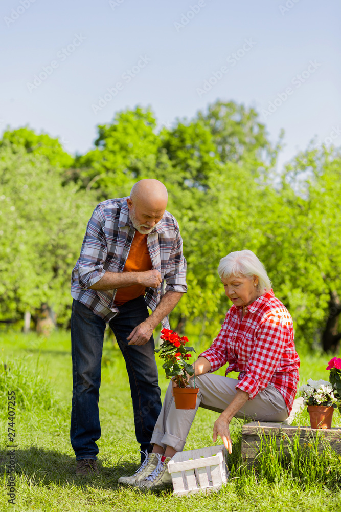 Retired husband and wife enjoying time while taking care of flowers Retired husband and wife enjoying time while taking care of flowers