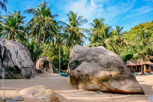  Paradise tropical beach with palm trees, large stones, sand and bungalows. Thailand, Koh Tao Island
