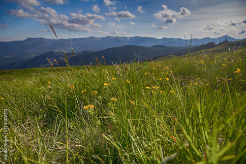 Mountain summer panoramic landscape with blue sky and clouds. Carpathians