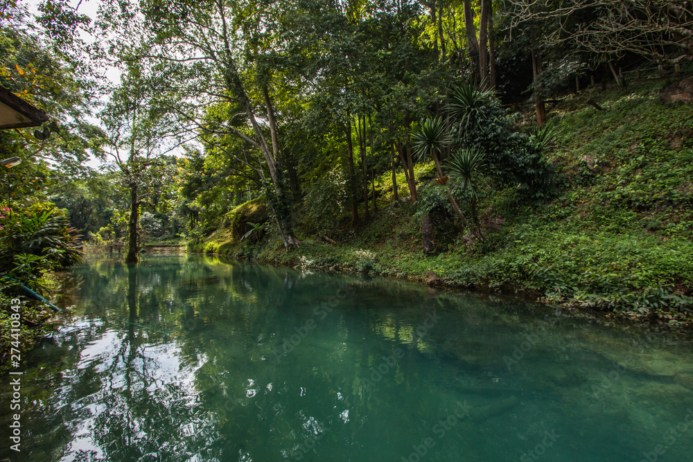 Fototapeta premium water blue and tree