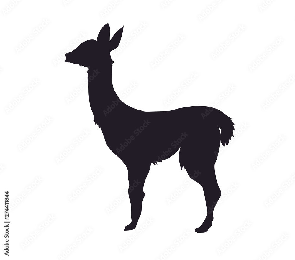 vector illustration of alpaca standing, drawing silhouette vector illustration of alpaca standing, drawing silhouette