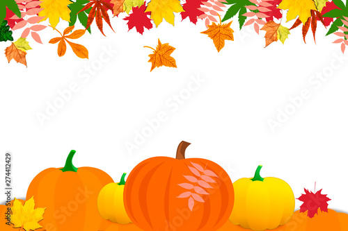 Autumn leaves and pumpkins on the white background, copyspace, for Thanksgiving