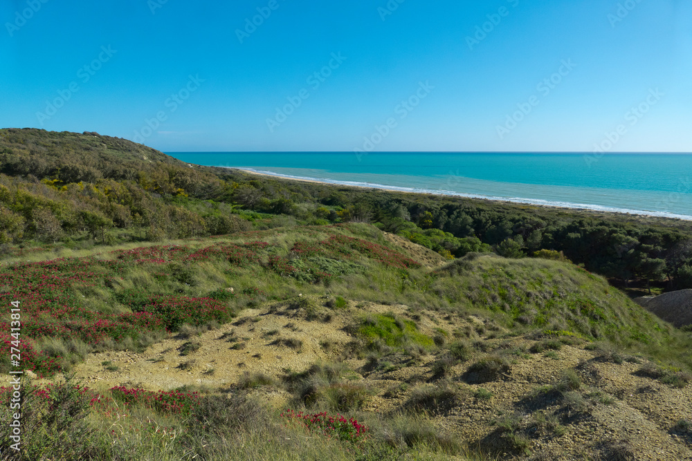 Torre Salsa natural reserve, Agrigento, Sicily - panoramic view of the lush vegetation and the long shoreline Torre Salsa natural reserve, Agrigento, Sicily - panoramic view of the lush vegetation and the long shoreline