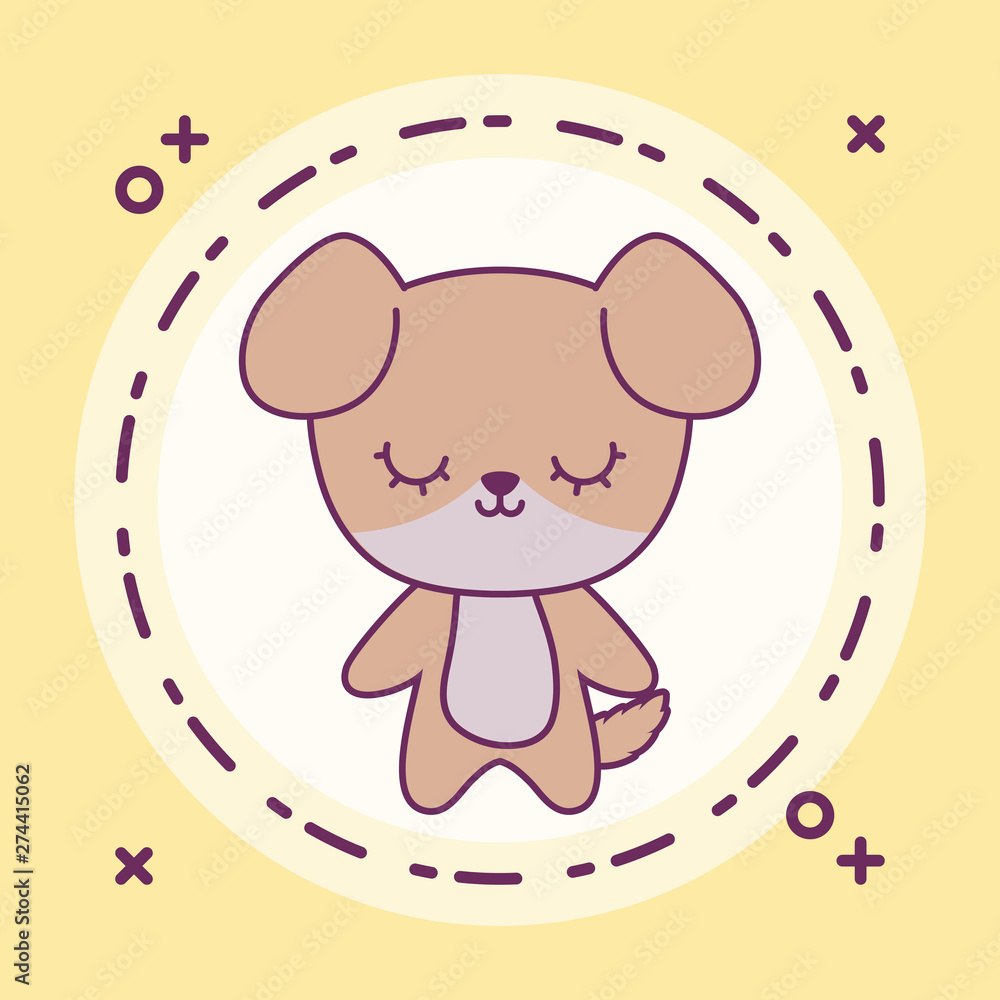 cute dog animal in frame circular cute dog animal in frame circular