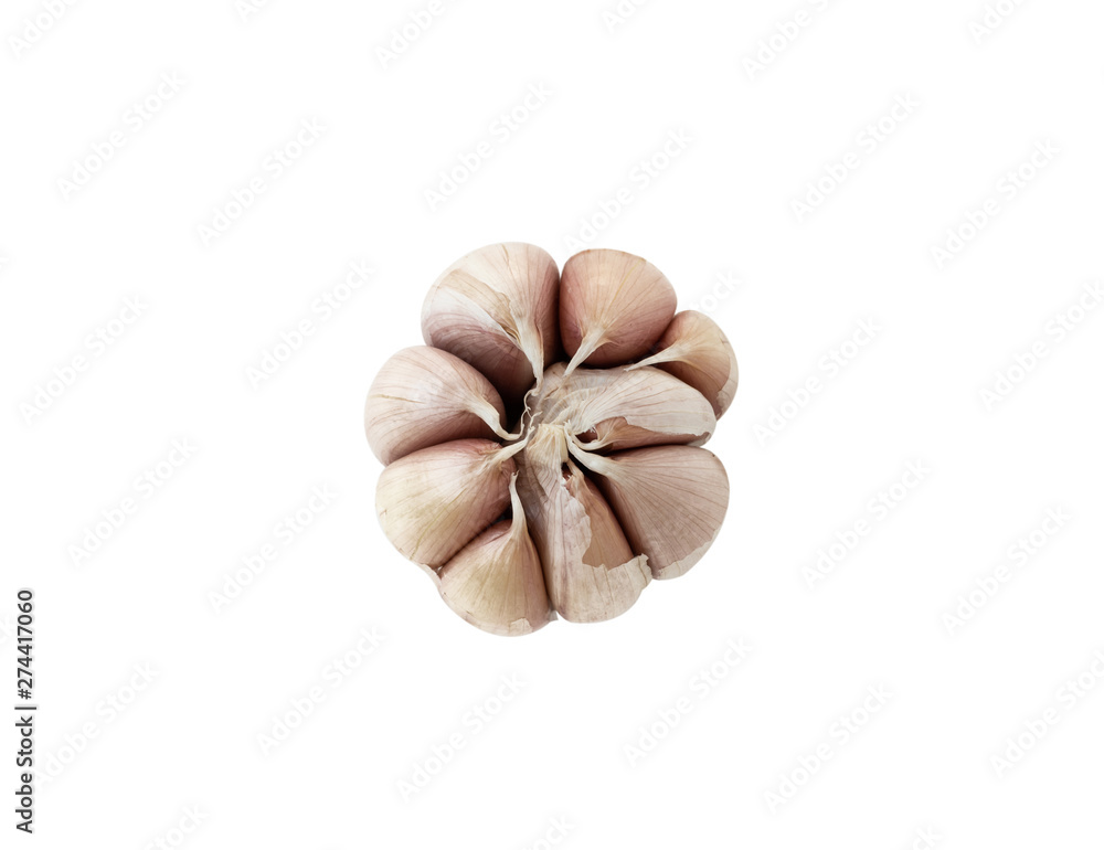 garlic on isolated white background garlic on isolated white background