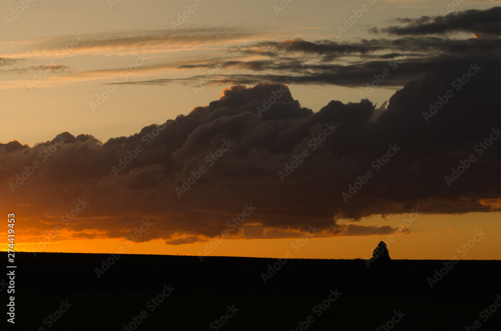 beautiful sunset in the field in summer beautiful sunset in the field in summer