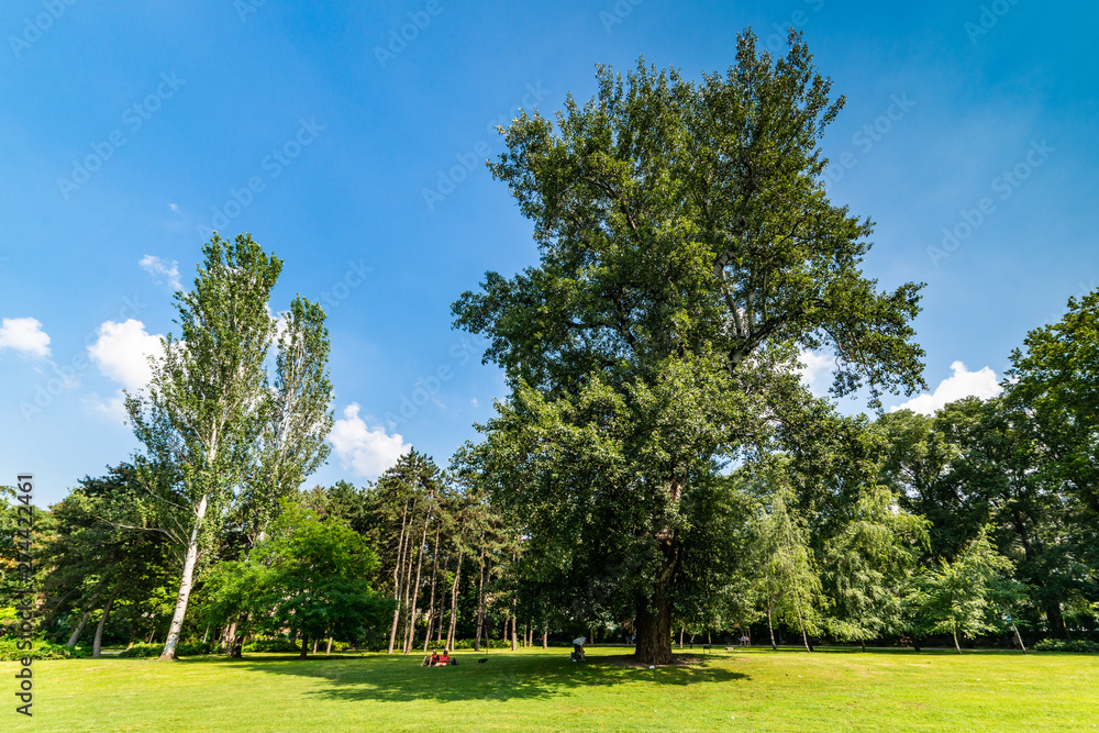Novi Sad, Serbia - June 19, 2019: Danube Park or (Serbian: Dunavski Park) is an urban park in the downtown of Novi Sad. Formed in 1895, it is protected and is one of the symbols of the city.