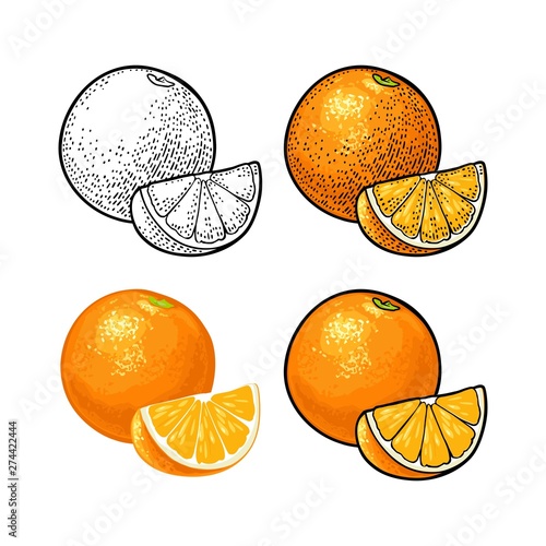 Whole and slice orange. Vector color vintage