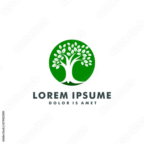 Tree logo template. nature icon design - vector