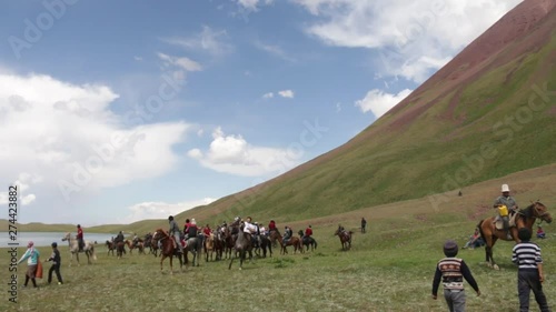 conjunto de cavalos perto to lado