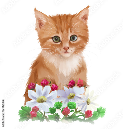 Red kitten and garden flowers