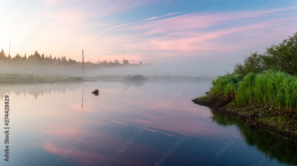 Obraz premium Sunrise over a wetland