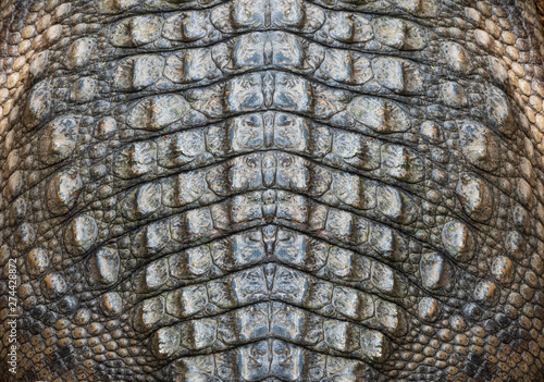 Genuine crocodile leather background image For making leather.