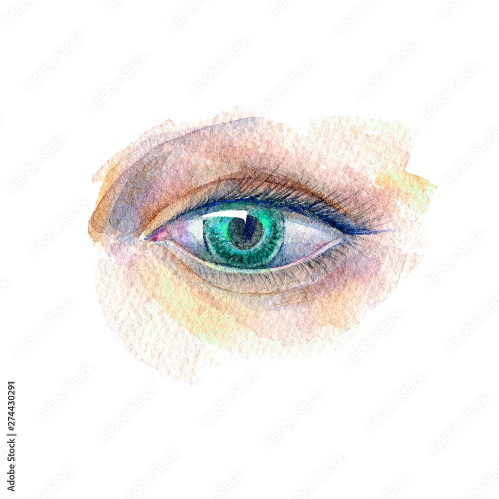 Obraz premium Green eye. Fashion,cosmetics and beauty image.Watercolor hand drawn illustration.White background.