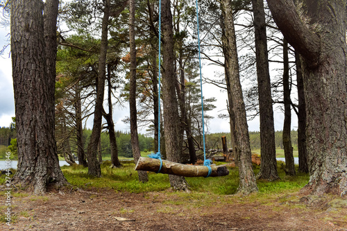 Close up of rope swing in countryside forest, trees, lake, mounatins