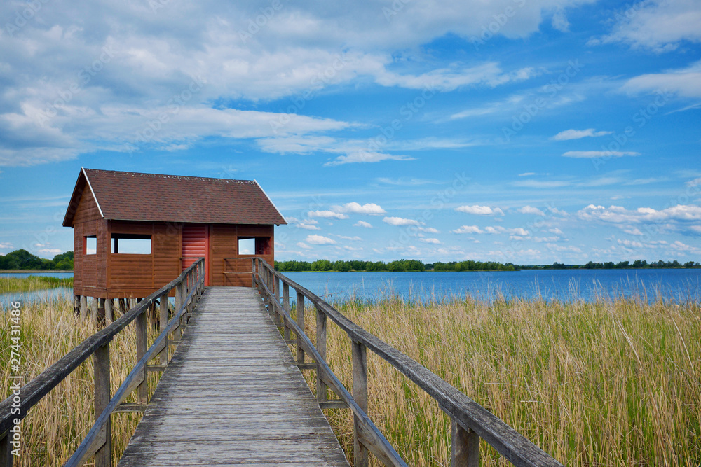 Bird watching hut with wooden path, reed and the Tisza lake, Hungary