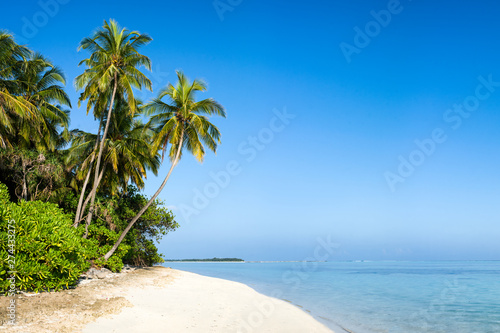 Piękna tropikalna wyspa z palmami jako tło