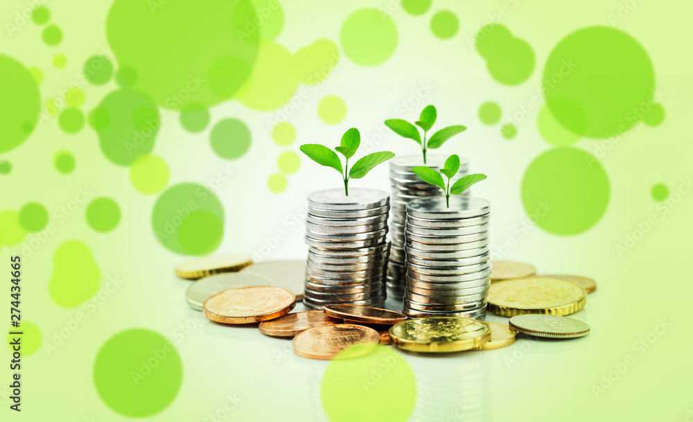 Stack of silver coins and young plant concept growths. Business growth concept. Stack of silver coins and young plant concept growths. Business growth concept.